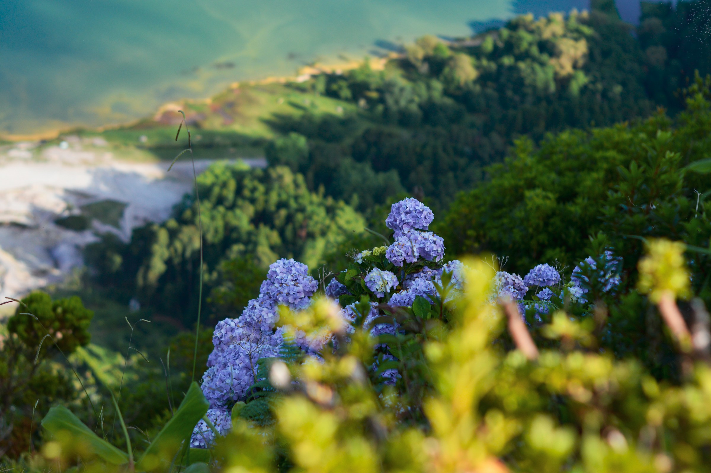 <a href="https://demo.nm-aist.ac.tz/phd-in-biodiversity-and-ecosystem-management-biem/">PhD in Biodiversity and Ecosystem Management (BiEM)</a>